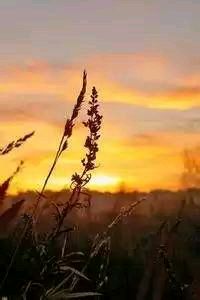 激烈角逐下足球比赛持续扣人心弦