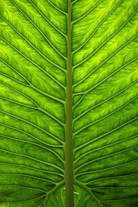 巴塞罗那前锋梅西复出，球队士气高涨